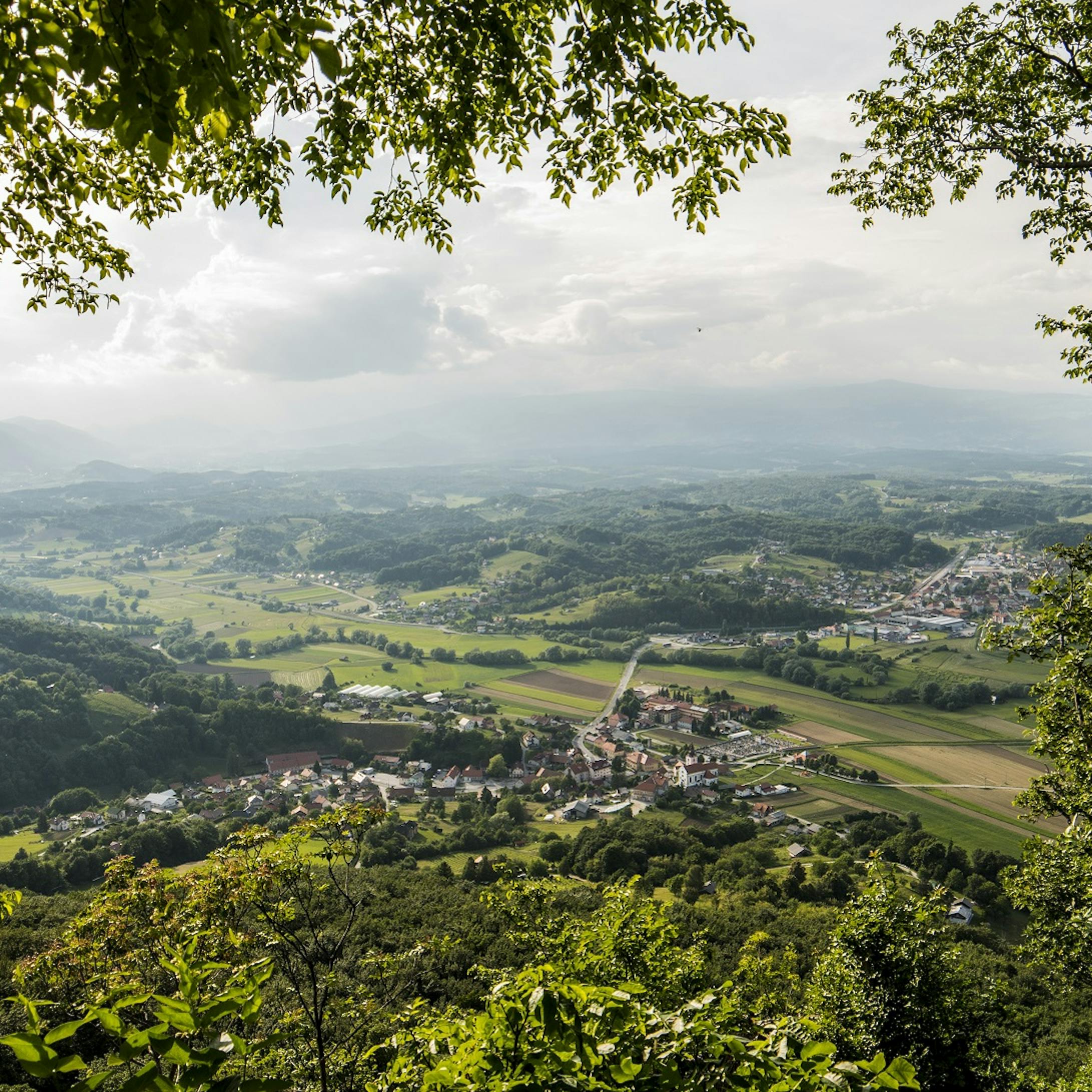 Poljčane